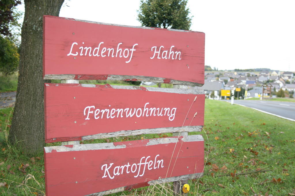 BlankenrathLindenhof Hahnアパートメント エクステリア 写真